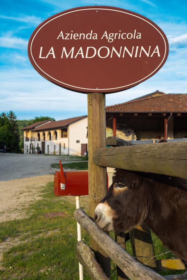 La Madonnina Agriturismo Dore Alba  Exteriör bild